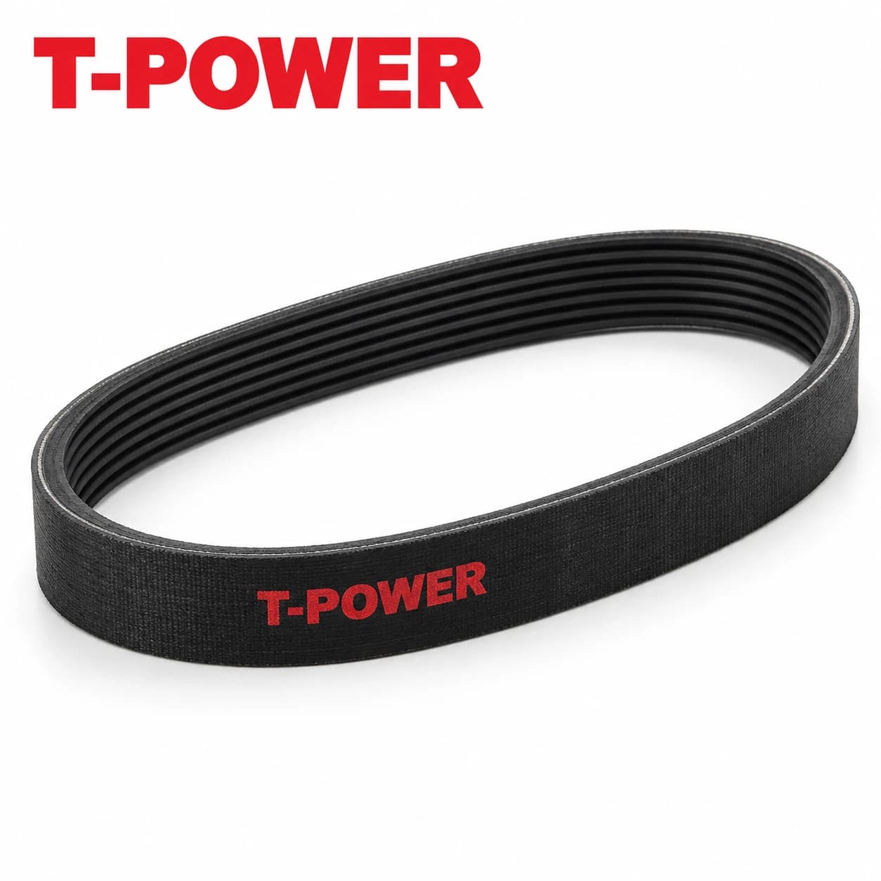 Alternator Belt
